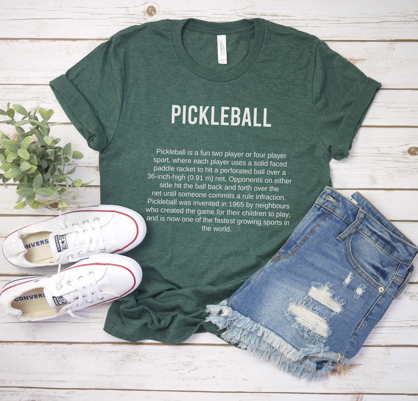 Pickleball Description